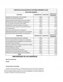 MATRIZ DE EVALUACION DE FACTORES INTERNOS CLAVE