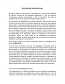 TRAZABILIDAD ORGANIZACIONAL