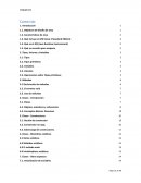Estructura de datos. Objetivos de diseño de Java