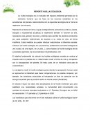 REPORTE HUELLA ECOLOGICA