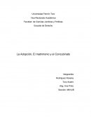 La Adopción, El matrimonio y el Concubinato