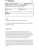 Evaluacion de proyectos actividad Bamboo Cycles