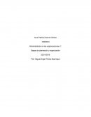 Administración en las organizaciones. Etapas de planeación y organización