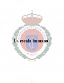 LA ESCALA HUMANA