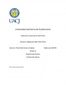 Anatomía y disecciones veterinaria