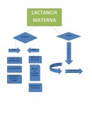 LACTANCIA MATERNA