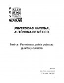 Parentesco, patria potestad, guarda y custodia