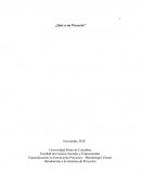 Esnsayo - Qué es un proyecto?