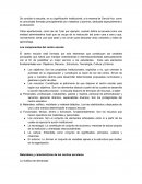 Reporte centro escolar