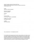 Organismo Público Descentralizado del Gobierno del Estado de Quintana Roo