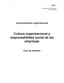 Cultura organizacional y responsabilidad social de las empresas
