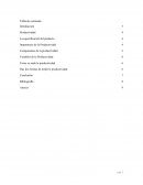 Conceptos de la Productividad