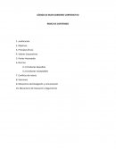 Ejemplo código buen gobierno