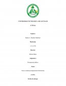 Nuevo sistema presupuestario Dominicano (NSPD)