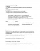 Caracteristicas generales de la carta magna