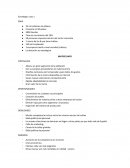 Estrategia Zara matriz Dafo