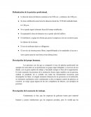 Desarrollo práctica profesional