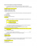 Examen del Valor Agregado de la Estrategia de Marketing Digital