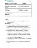 Lanzamiento del proyecto. Seis Sigma