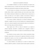 Ensayo Seguridad Informatica