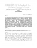 REPRODUCCIÓN ASISTIDA: Fecundación In Vitro