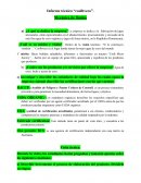 Informe técnico “coolbveco”
