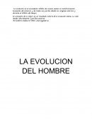 La evolucion del hombre