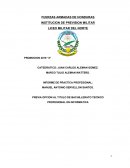 INFORME DE PRACTICA PROFESIONAL: UTH