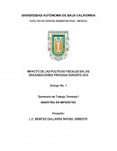IMPACTO DE LAS POLÍTICAS FISCALES EN LAS ORGANIZACIONES PRIVADAS DURANTE 2019