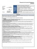 Planeacion de acciones pedagógicas