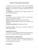 Capítulo 5. Procesos básicos del desarrollo