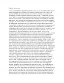 La educación del Q.F.I