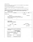 Ensayo de practica juridica