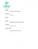 Manual de Calidad ¿Qué elementos deben reflejarse en el manual de calidad?