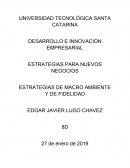 ESTRATEGIAS DE MACRO AMBIENTE Y DE FIDELIDAD