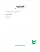 Huachicoleo problema social