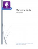 Investigación marketing digital
