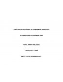 PLANIFICACIÓN ACADÉMICA 2019