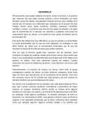 Desarrollo de un Huerto