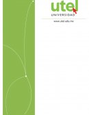 Análisis de la Responsabilidad Social de Grupo Bimbo