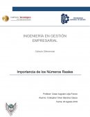 IMPORTANCIA DE LOS NÚMEROS REALES