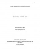 PROGRAMA ESPECIALIZACIÓN EN LA APLICACIÓN DE TIC PARA LA ENSEÑANZA