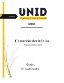 Comercio electronico APPSS