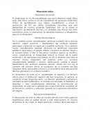 Nitroprusiato sódico Mecanismo de acción