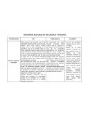 RECURSOS NATURALES DE MÉXICO Y CHIAPAS
