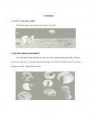 La brújula Parque de Diversiones Luna Llena