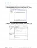 Trabajo: Diferencias y similitudes entre Eclipse y NetBeans