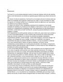 Coaching TopTravel SL