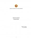 Redacción de Informes (Drogueria Mèrida)