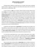 Cómo se procesa un menor en PR